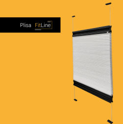 Plisy FitLine Kraków