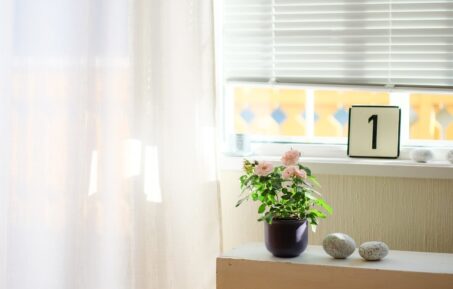 Rolety na najbardziej nasłonecznione okna